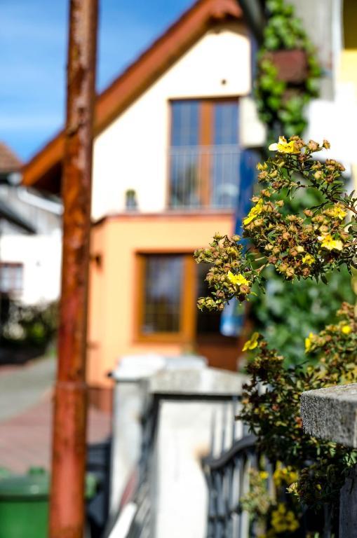 Relax Penzion U Adama Dolná Tižina Eksteriør bilde